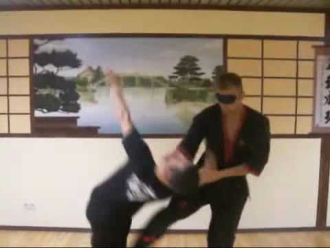 MWTA - Wing Tzun - Sifu Marcin Mischke Part 2
