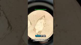 A idade das rochas - Essa é Nossa Terra