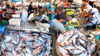 Fish Market and Wet Market, Chbar Ampov City l Fish, Seafood, Vegetables l Cambodian Fish Market