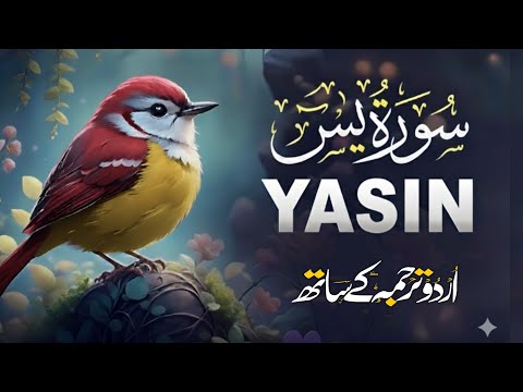 Surah Yaseen Urdu Tarjuma ke Sath | Peaceful Recitation | Episode - 607