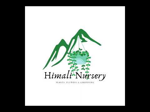 Himali Nursery.(Plants, Flowering & Gardening) Nepalgunj Banke. Flower, show plants collection.