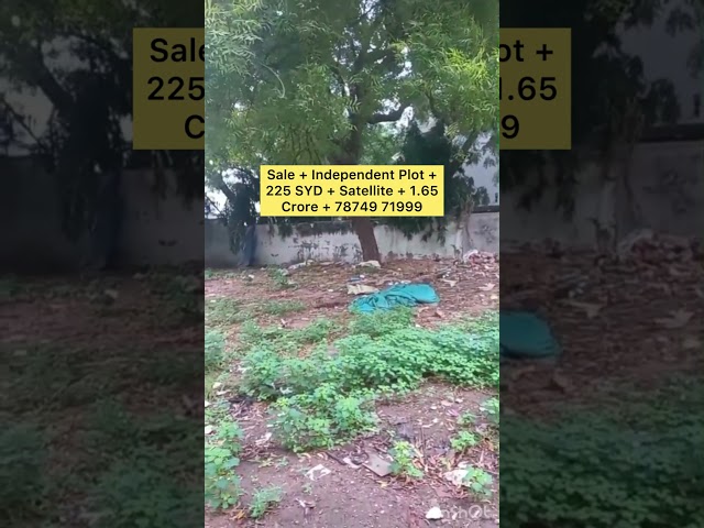 RESIDENTIAL PLOT