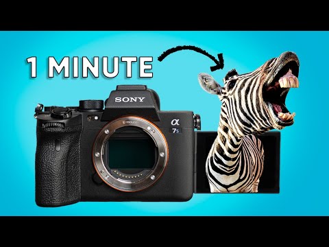 How to Use Zebras for Exposure