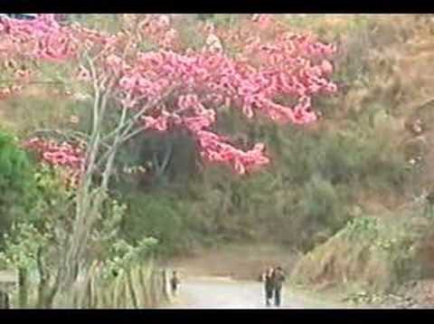 fingrei a  cah zawnah