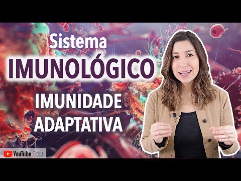 Adaptive Immunity: Immune System | Anatomy etc