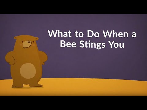 What to Do When a Bee Stings You (Remedies & Relief & Remedies)