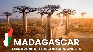 Madagascar: Discovering The Island of Wonders | African Scribe