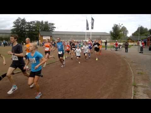 23. Wilstermarsch-Lauf