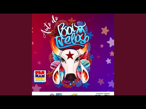 Chegando Com Alegria