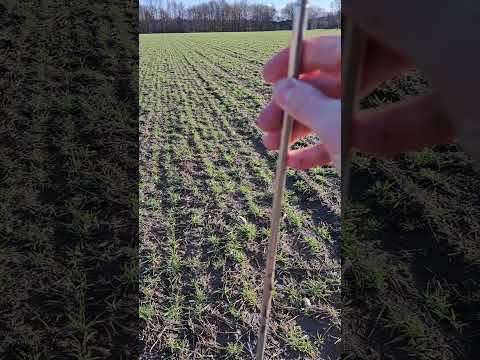 Winterzeit = Bodensondenzeit