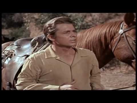 download lagu mp3 mp4 The Wild The Innocent, download lagu The Wild The Innocent gratis, unduh video klip The Wild The Innocent