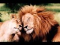 Bobby Darin - Where Love Has Gone?