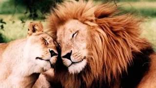 Bobby Darin - Where Love Has Gone?