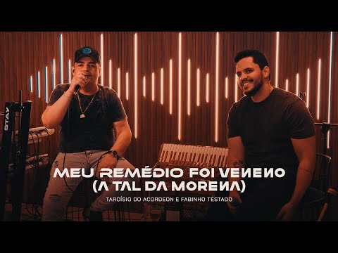 Tarcisio do Acordeon and Fabinho Testado