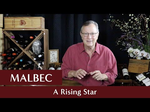 Noble Grapes – Malbec – A Rising Star