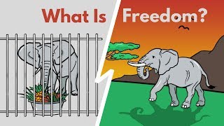 How To Be Free In An Unfree World? | THE FREEDOM VIDEO