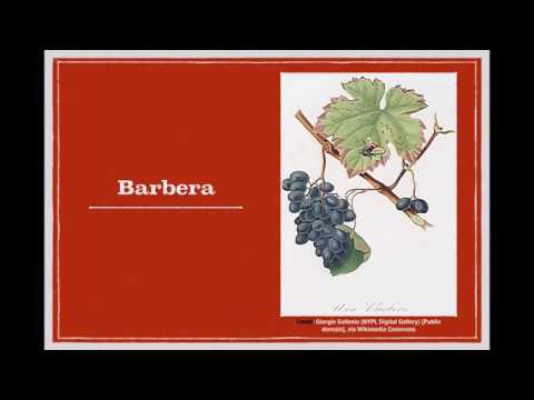 Winecast: Barbera