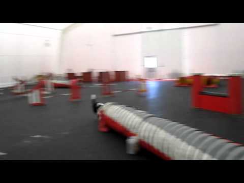 Syke irtoaminen 16.5.2012