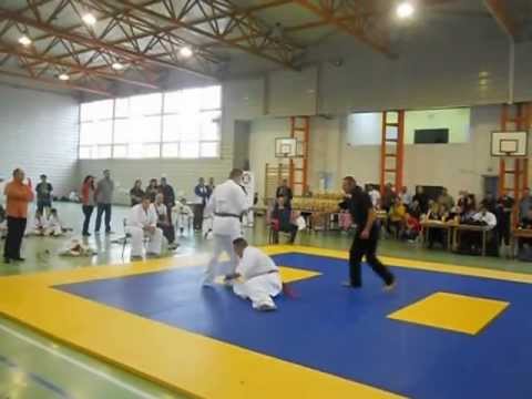 Ingeaua Eduard Vs Mocanu Catalin