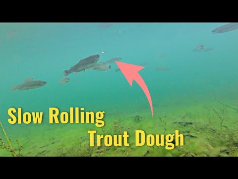 How to Use Powerbait | Trout Fishing