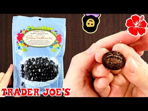 Dark Chocolate Covered Powerberries - Trader Joe’s Product Review