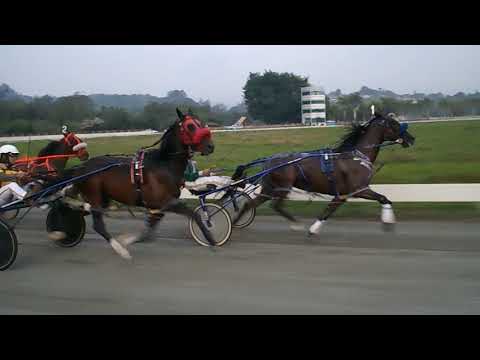 1.abra.1.58.80.2.mindanão.2.00.51.3.selecto.4.ymbo.