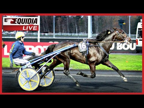 BIRD PARKER TERRASSE BOLD EAGLE ! | Prix du Bourbonnais 2017