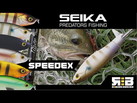 Esche Top Water: Seika Speedex