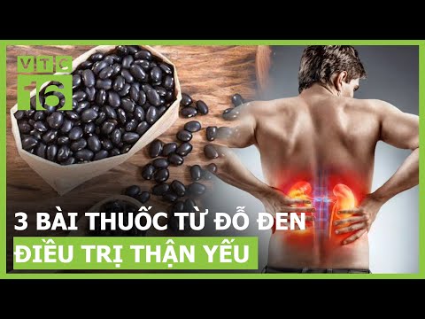 3 bài thuốc từ đỗ đen điều trị thận yếu không phải ai cũng biết | VTC16