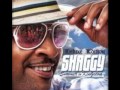 Shaggy  [Summer In Kingston (july 2011)]-Soldiers'story ft. Jaiden