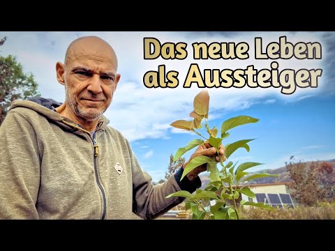 Everyday life on my wild farm in Portugal - We plant the first trees