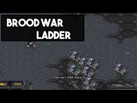 BW TvZ: They Just Won't Die