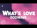 Rod Wave What S Love Official Lyrics Video
