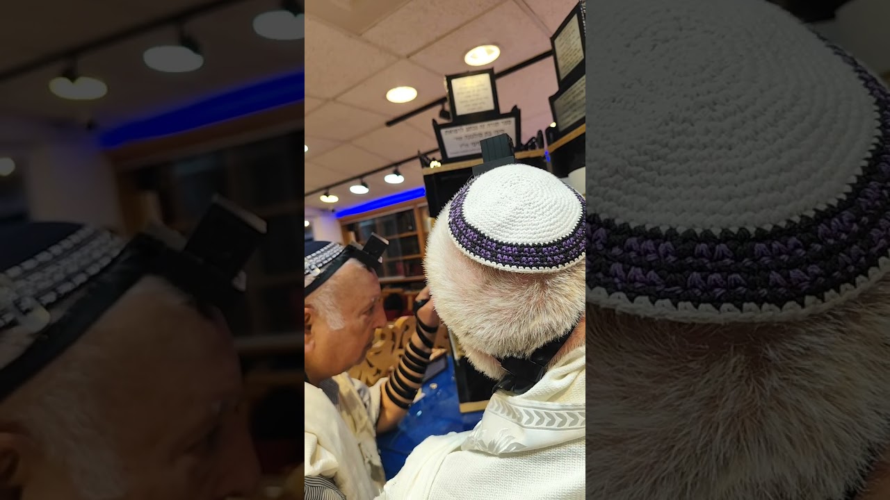 קריאת התורה לפרשת השבוע פרשת שלח לך תשפ'ו בית הכנסת רינת ירושלים היכלא דרבנו ?