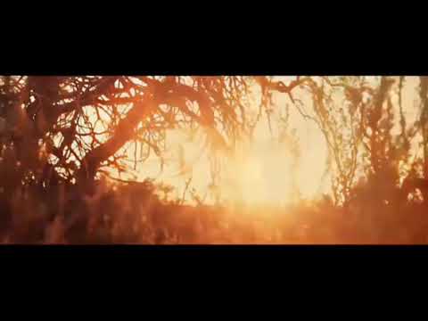 Indian spirit feat Michael Jackson - Ani Kuni (Fanart videoclip)