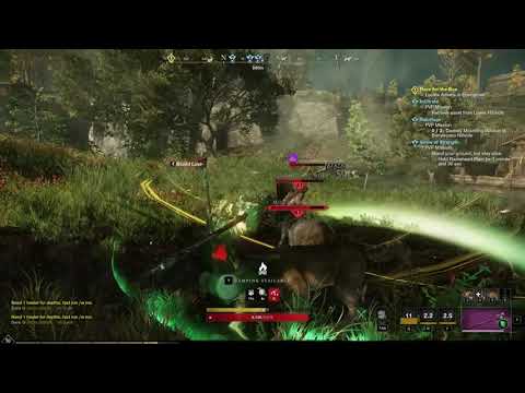 Trying to kill a healer in heavy armor