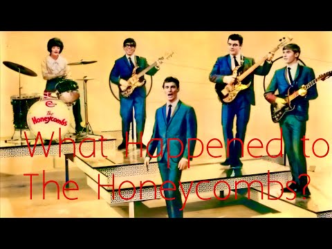 What Happened to The Honeycombs?