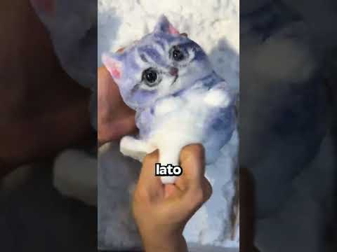 Il Giocattolo Più Appiccicoso Per Gatti!🙀🙀