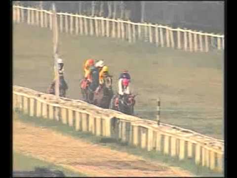 Royal Blue Star wins the prestigious Queen Elizabeth II Cup Gr.3 by a street