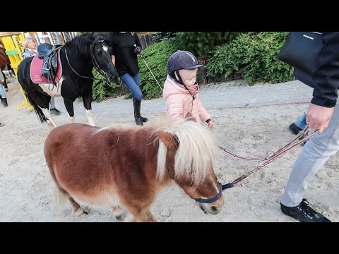 NAJFAJNIEJSZE MIEJSCE POD WROCŁAWIEM I CIASTO DYNIOWE