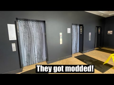 Schindler 6400 (fmr. Schindler Haughton) Traction Elevators @ Renaissance - Toledo, OH