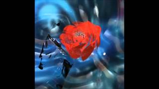 Teengirl Fantasy - Timeline