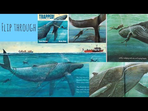 Trapped! A Whale's Rescue by Robert Burleigh