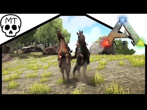 Taming and Breeding Equus! Ark Survival Evolved!