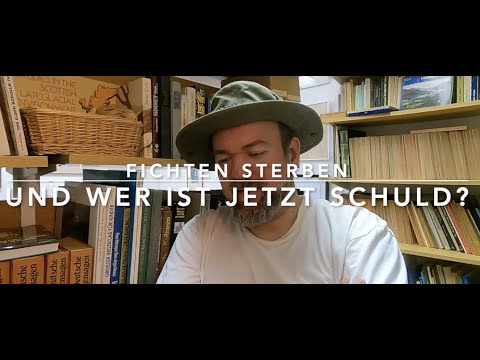 Wer hat Schuld an toten Fichten?