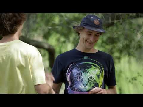 New Balance Numeric - Tricolor - Skateboard & Cool Vibes