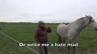 Is this hitting a Horse - let a Horse stay with you (5 y stallion)