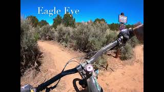 Shuttling Eagle Eye to try out a new Rock Shox Lyric.e