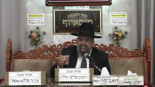 הרב משולם כהן | דברי חיזוק בפרשה | מוסאיוף (בית הכנסת מוסאיוף - ערוץ חדש) - התמונה מוצגת ישירות מתוך אתר האינטרנט יוטיוב. זכויות היוצרים בתמונה שייכות ליוצרה. קישור קרדיט למקור התוכן נמצא בתוך דף הסרטון