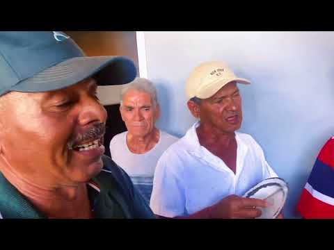 Reis emociona no aniversário de Cudinha em Várzea da Roça | Cultura e tradição da Bahia